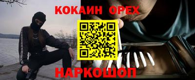 Альфа ПВП Малгобек