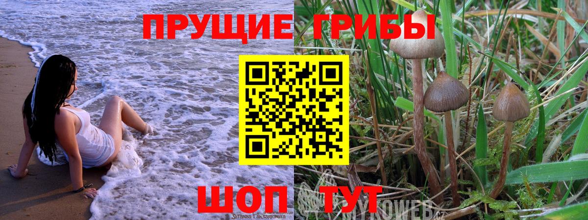 Галлюциногенные грибы мицелий Уварово